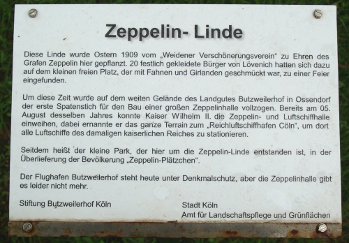 Zeppelinlinde Weiden