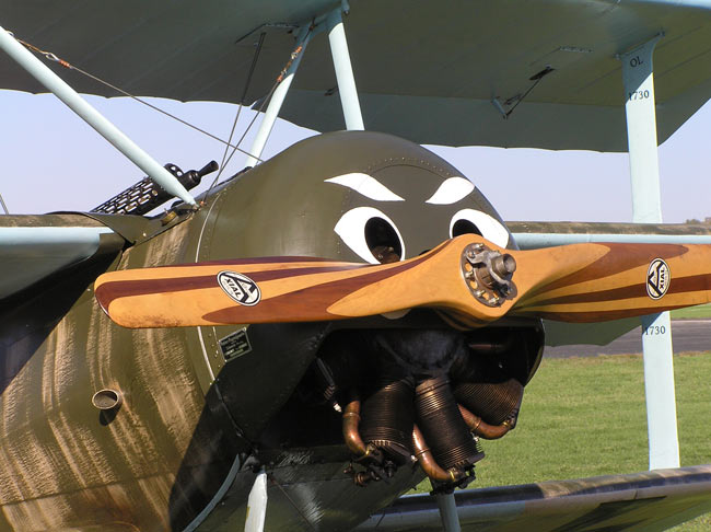 Nachbau der Fokker DR1 mit der Bemalung von Werner Voss