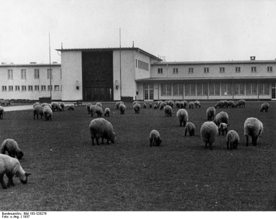 Rasenmher Flugplatz Kln Butzweilerhof