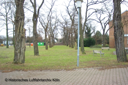 der Robinienhain am Butzweilerhof, gepflanzt als Entree fr den Flughafen Kln Butzweilerhof 1936