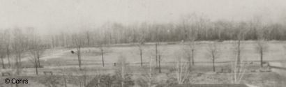 Ein historisches Foto von 1942 zeigt, dass die Baumhöhe nur unwesentlich geringer war als heute 70 Jahre später.